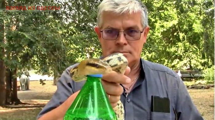 В одесском зоопарке змея выполнила необычный трюк