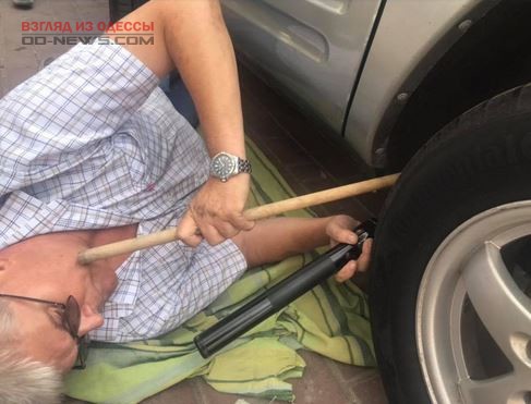 В Одессе директор зоопарка сумел извлечь из машины змею