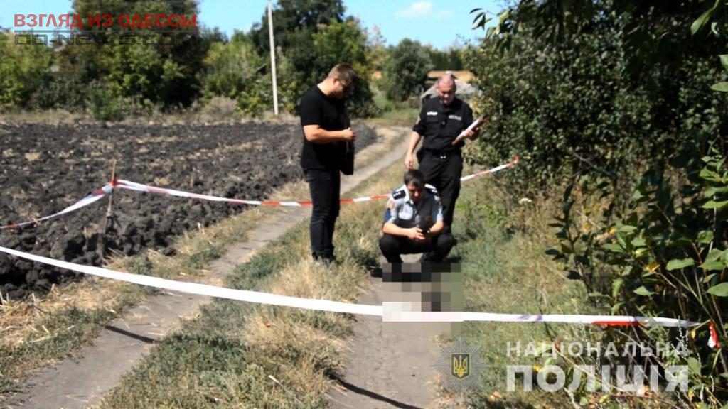 В Одесской области нашли голову отдельно от тела