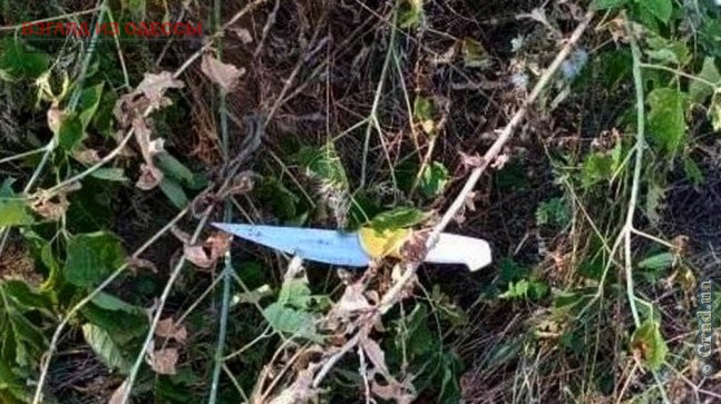 В Одесской области мужчина кидался с ножом на родню жены