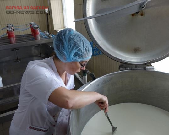В Одесской области семья решила возродить сыроварение