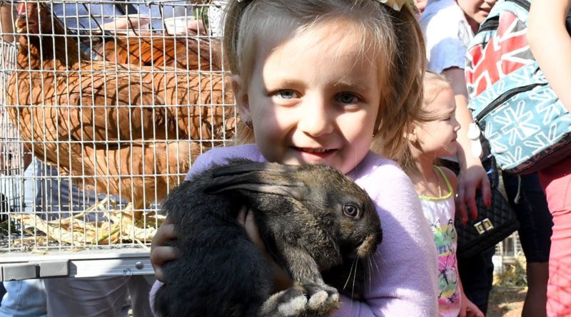В Одесской области детям в лотерее дарили голубей и кроликов