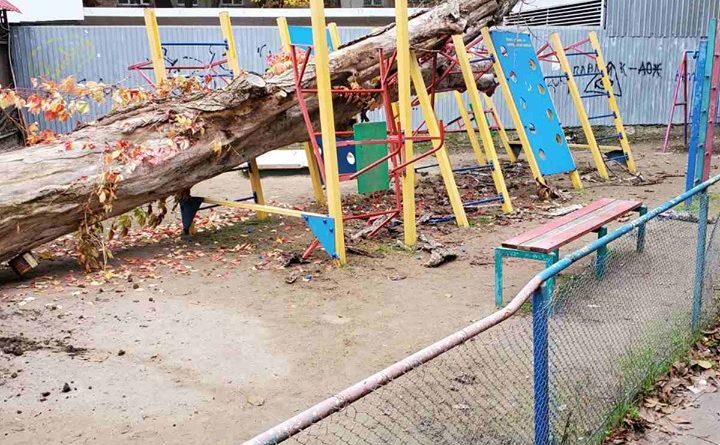 В Одессе в спальном районе на детскую площадку упало дерево