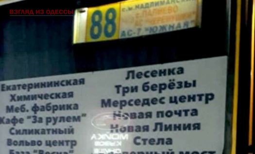 В Одесской области задержали водителя с фальшивыми правами
