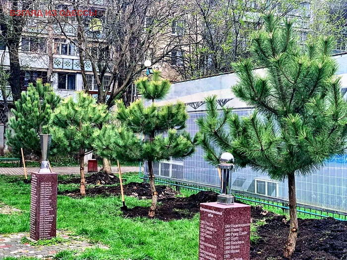 В Одессе облагородили и благоустроили скверы и парковые зоны