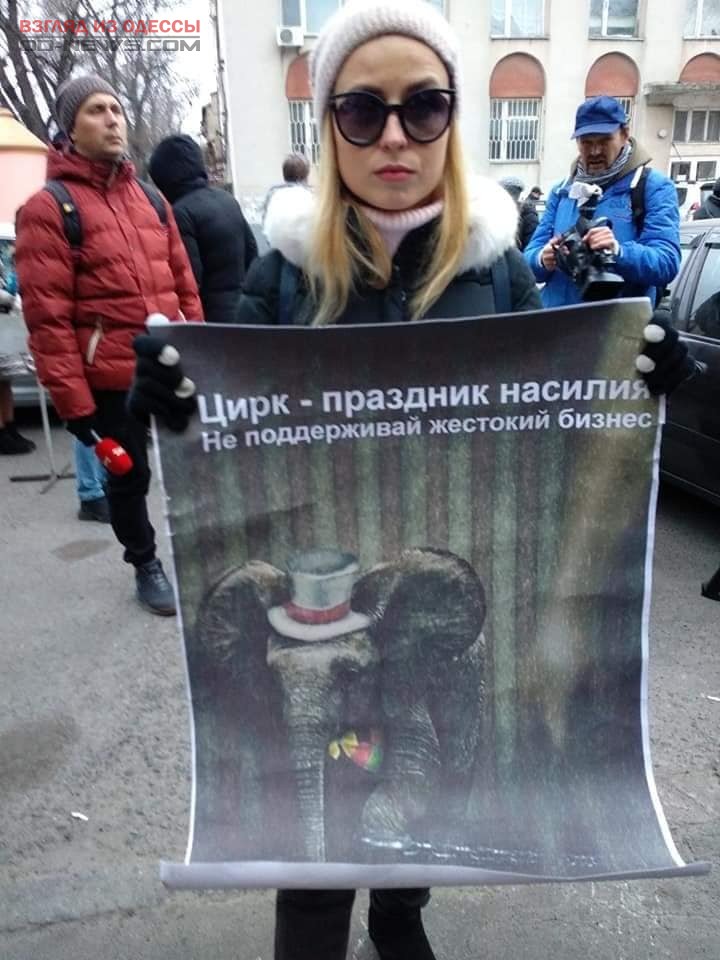 Одесские зоозащитники обратились к людям, посещающим цирк с животными