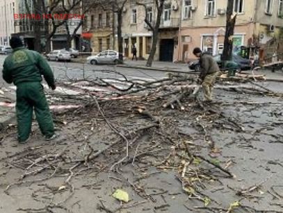 падают деревья, рвутся линии электропередач