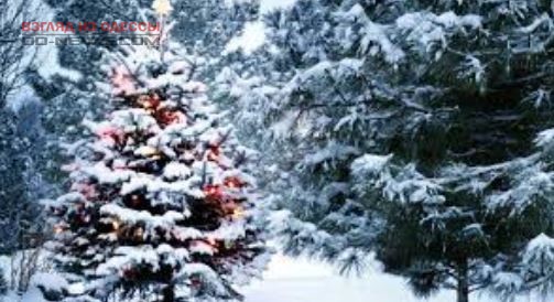 В Одессе возможны снег и отмечается существенное похолодание