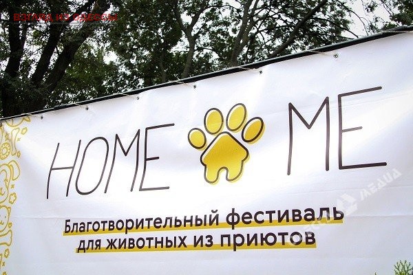 В Одессе вернули пятеро животных, которых взяли на Home me Fest