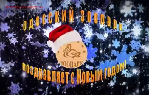 Верен доброй традиции: директор Одесского зоопарка поздравил одесситов с Новым годом