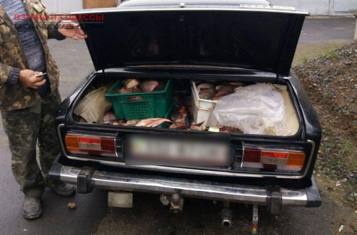 В Одесской области в багажнике авто нашли богатый улов