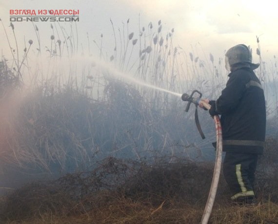 В Одессе боролись с масштабным пожаром на полях орошения