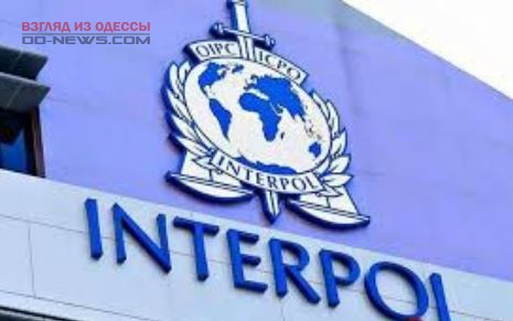 В Одессе задержали иностранца, которого разыскивал Интерпол