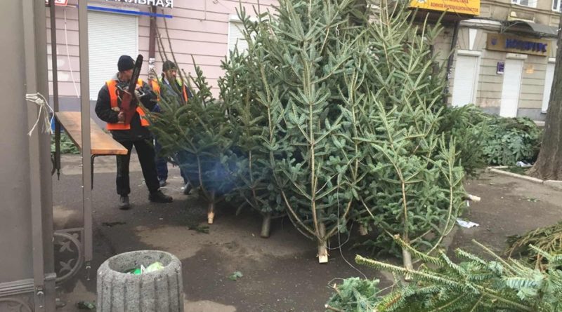 В Одессе решат судьбу брошенных новогодних деревьев