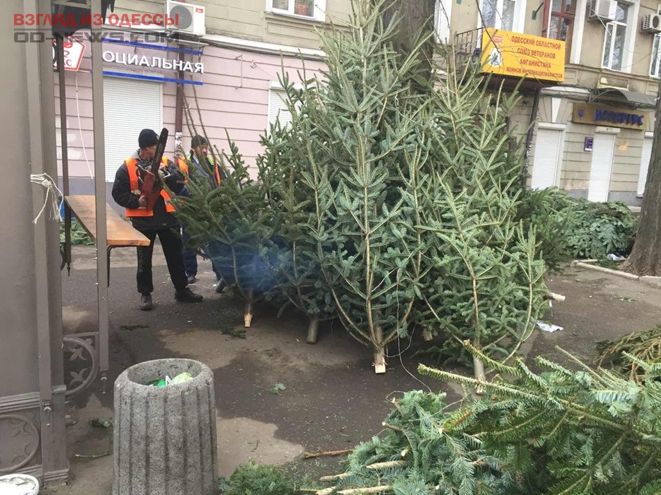В Одессе решат судьбу брошенных новогодних деревьев