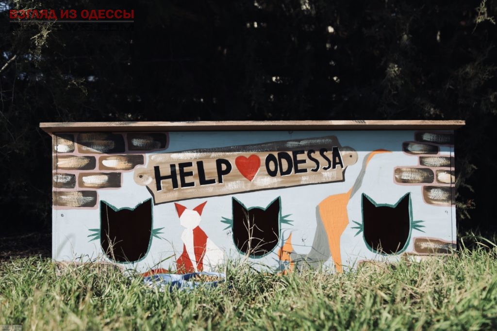 В Одессе волонтеры устанавливают жилища для бездомных уличных животных