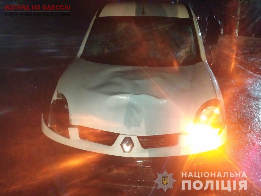 В Одесской области на сельской дороге произошло смертельное ДТП