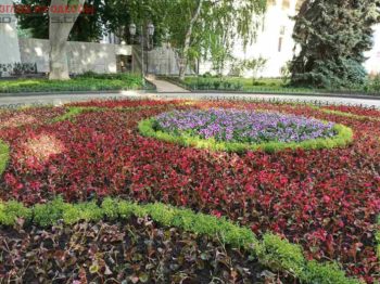 Одессу продолжают украшать цветами