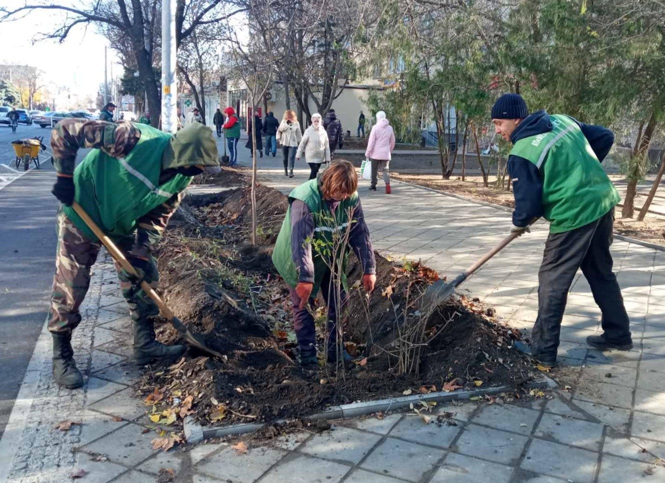 Около 38. Тысяча деревьев.