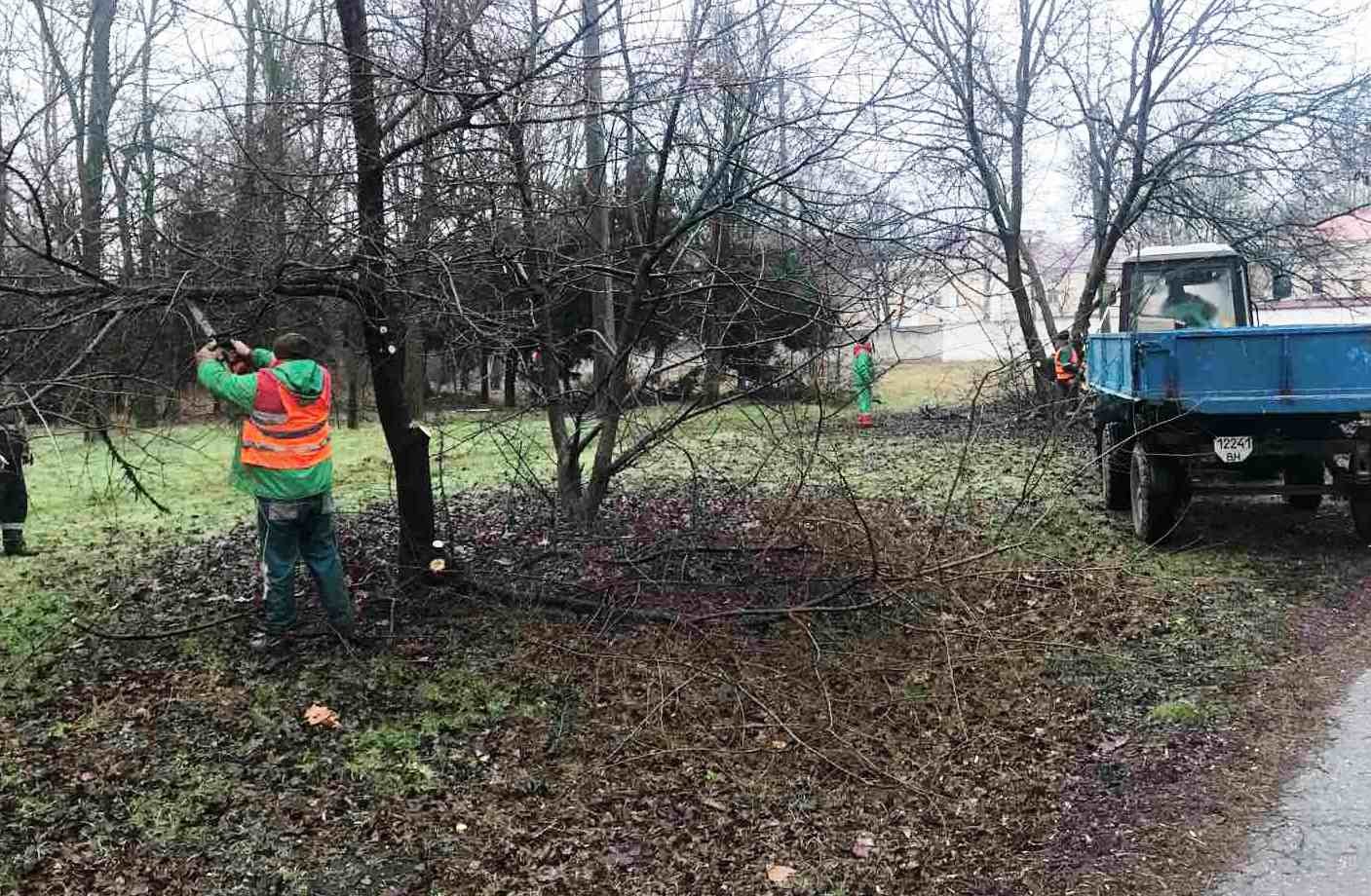 Озеленители Одессы продолжают выполнять важные работы - Главные