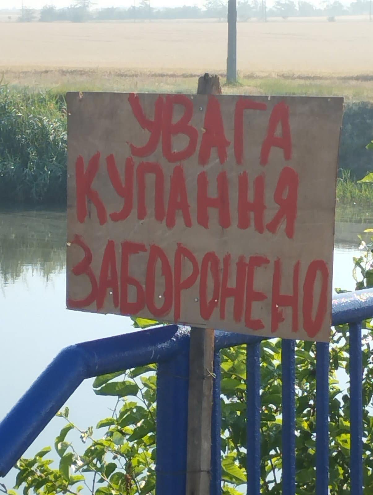 Озеро Сасык в Одесской области: лучшее место для рыбалки и отдыха