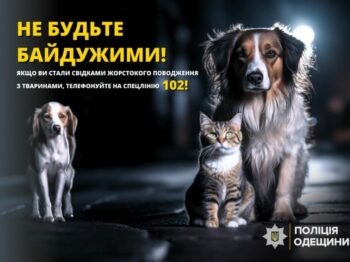 В Одеській області пенсіонер схопив вила, що попались під руку, та кілька разів штрикнув ними собаку