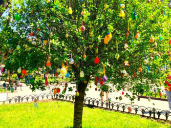 Учні одеських шкіл за традицією прикрасили Великоднє дерево миру