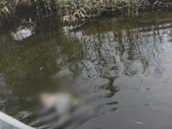 Волонтер з Одеси повідомив про можливе вбивство чоловіка після перебування в ТЦК: родина вимагає розслідування