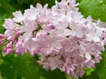 В Одесі потеплішає до +23°С: якою буде погода 4 червня