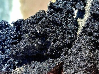 Війна продовжує забруднювати Чорне море: нові знахідки на Одещині