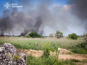 Пожежі в екосистемах не вщухають: скільки збитків вже завдано довкіллю на Одещині