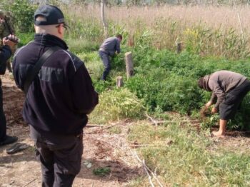 Перевірка Нижньодністровського НПП на Одещині виявила незаконні насадження