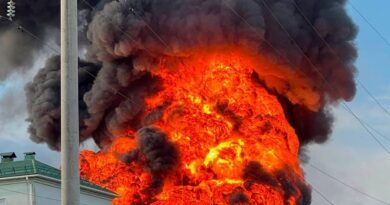На Одещині через російський удар згоріли тисячі тонн соняшникової олії