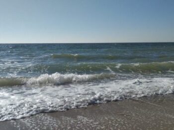 На популярних пляжах Одеси перевірили якість морської води: які результати