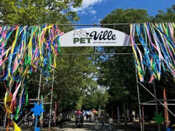 Благодійні концерти та парад чотирилапих: як пройшов фестиваль PetVILLE в Одесі