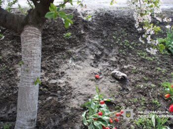 На Одещині жінка померла від переохолодження: поліція повідомила про підозру її співмешканцю